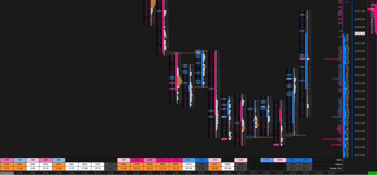 Sierra Chart Footprint featuring a center candlestick and DOM, detecting strong absorption and icebergs at the bottom.