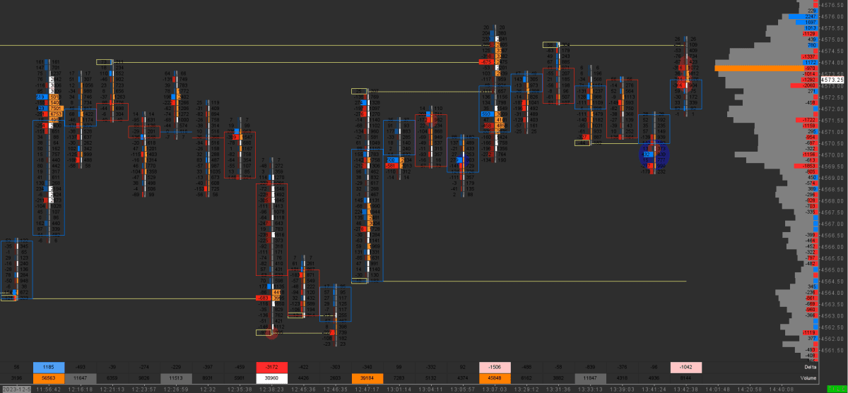 Footprint chart featuring two columns for Delta and Total Volume, with a transparent candlestick body set to Point & Figure 1-11. This visualization aids in clearly identifying market trends and volume dynamics.