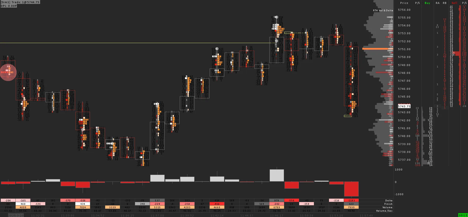Footprint - Delta & Total Volume + DOM